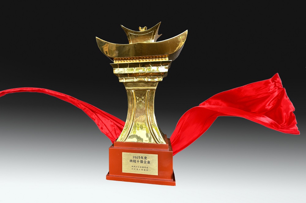 2025年度兴化市纳税十强企业